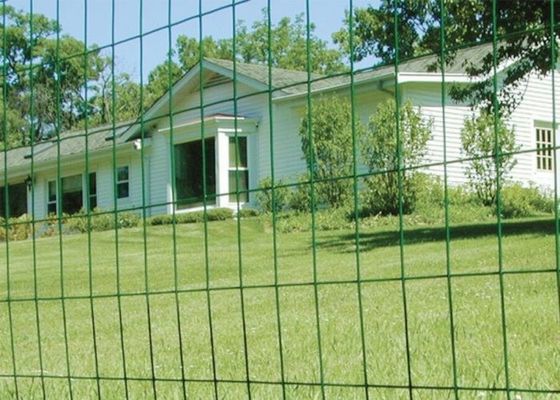 O verde revestiu o fio Mesh Roll Welded Wire Mesh de 0.35mm-6mm que cerca Rolls antienvelhecimento