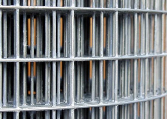 50X50 galvanizou o fio soldado Mesh Rolls cerca de fio Roll Abrasion Proof de 6 pés