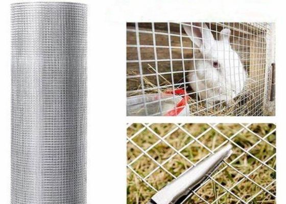 15m 20m 30m rede de arame elétrico soldado de aço inoxidável Usado como gaiolas de aves de capoeira ou cerca