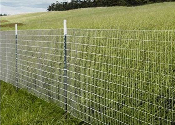 Tela de malha soldada de aço inoxidável para aplicações agrícolas