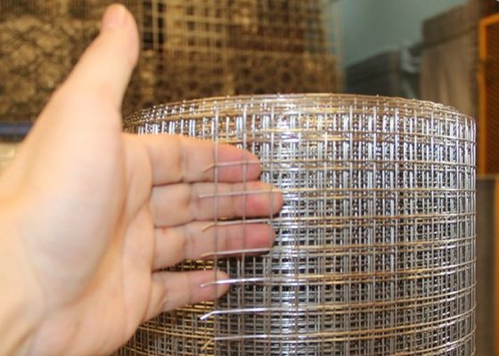 Rede de fios galvanizados soldados com tinta plástica protetora