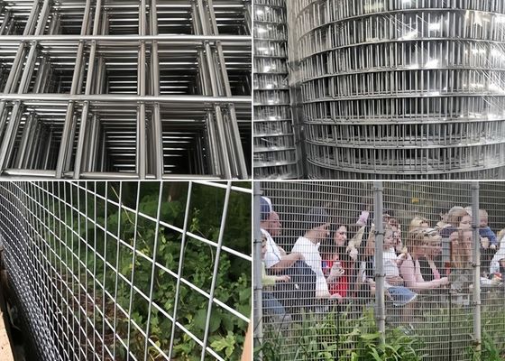 Rolos de malha soldados resistentes à corrosão duráveis de várias cores
