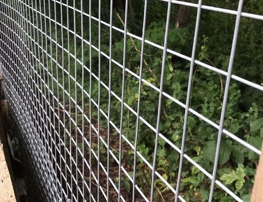 Rolos de malha galvanizados e soldados a quente duráveis para gaiolas de animais