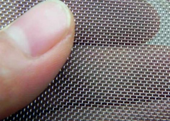 50 Micron Regular Wire Size Filter Wire Mesh em 30m de comprimento para versátil
