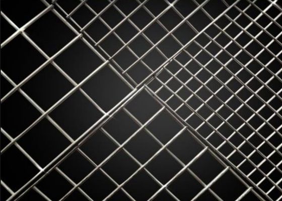 Resistência de oxidação soldada de aço inoxidável de Mesh Panels For Seperation Net do fio de AISI