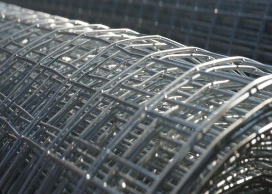fio soldado galvanizado mergulhado quente Mesh Animal Cage Wire Mesh de 1mm-3mm inoxidável