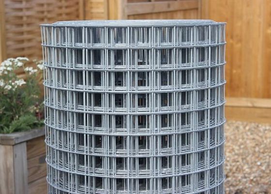 50X50 galvanizou o fio soldado Mesh Rolls cerca de fio Roll Abrasion Proof de 6 pés