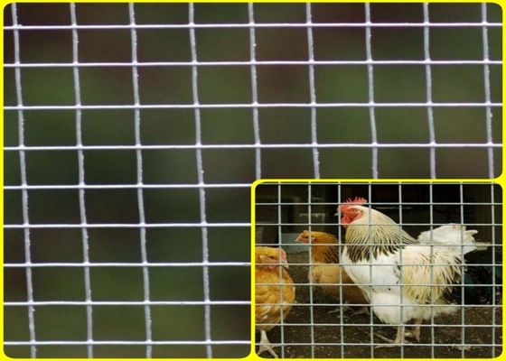 1/2 ' X 1/2” Mesh Rolls For Breeding Protection soldado de aço inoxidável de grande resistência