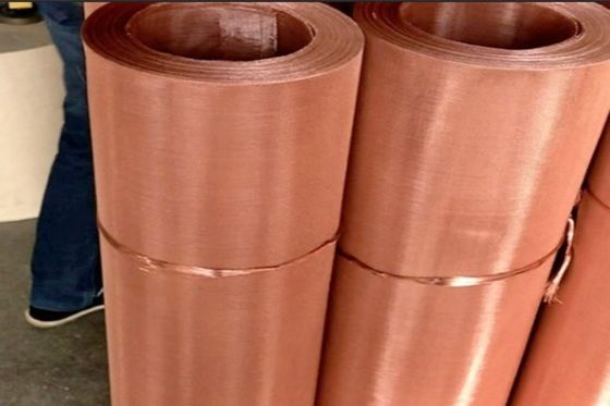 Fio de grande resistência e dureza tecido Mesh Screen Phosphor Bronze